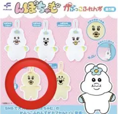きみまろ　んぽちゃむ　ガチャガチャ
