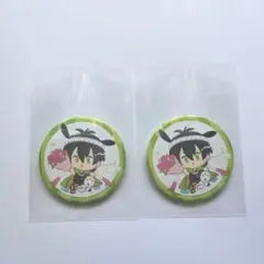 KING OF PRISM キンプリ 香賀美タイガ サンリオ 缶バッジ