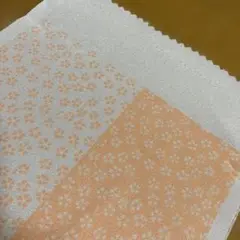 Item thumbnail for item 0d4c16bf-450f-4450-ac25-f1002a711433