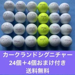 カークランドシグニチャー24個＋4個おまけ付き送料無料