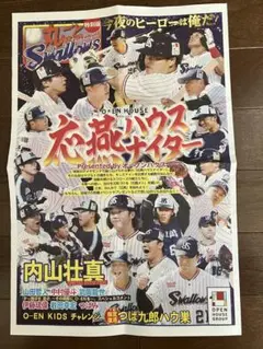 丸ごとスワローズ　特別版