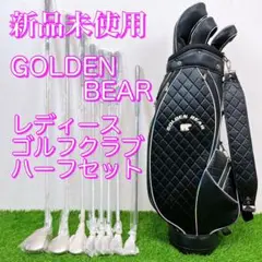 レディースゴルフ 初心者セット GOLDENBEAR 8本セット GBH-301 レディースゴルフ 初心者セット GOLDENBEAR 8本セット GBH-301