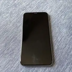 Apple iPhone 11 Pro 本体