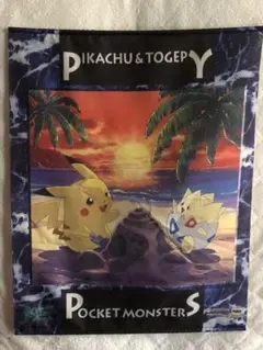 2025年最新】バンプレキャラポスター ポケットモンスターの人気
