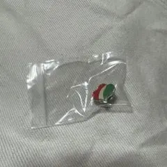 ハンガリー　パビリオン ピンバッジ　大阪万博　非売品