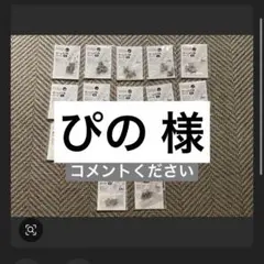 ぴの様 A×2.H×1