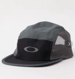 Item thumbnail for item 185ba708-6d4d-401c-ae92-861f50d2e726