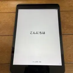 iPad mini 第2世代 16GB スペースグレイ