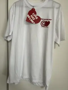 USJ 限定　LOVEHASNOLIMIT　ウッディ　Tシャツ　Lサイズ