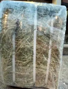 Item thumbnail for item c30f48a9-3c57-4d28-99e1-eb770d102d67