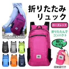 Item thumbnail for item c7b683e6-0d8c-454b-95e8-14f6953466c2