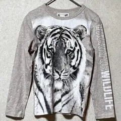 Item thumbnail for item 62ad6934-656f-44cf-bf4c-ea3f307e0d73