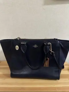 Item thumbnail for item 7e67edfb-5635-40d2-82bd-bb050e9eb2ad