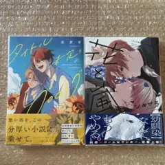 「花と嵐」「タイトル未定のプロローグ」2冊セット