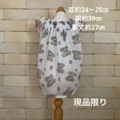 Item thumbnail for item 7ca067f0-30ba-468f-9ae0-8cbade81b1c6