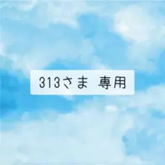 313さま 専用