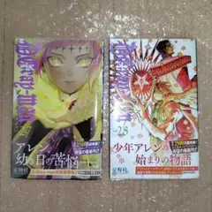 Ｈａｙｕ＠comic.様ご希望商品　D.Gray―man 27・28巻