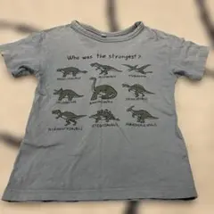 西松屋　恐竜　Tシャツ　120