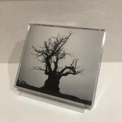 SEKAI NO OWARI 2010-2019 ベストアルバム　ケース新品
