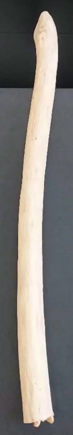 長さ約65cm、直径約3cmの比較的まっすぐでしっかりしている流木