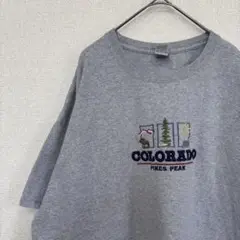 ギルダン　tシャツ 刺繍　ロゴ　グレー　アメリカ古着　2XL 2219