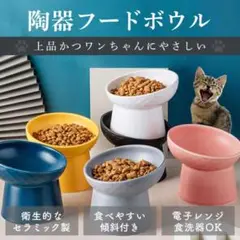 ペット 食器 陶器 高さ おしゃれ フードボウル 犬 猫 スタンド 斜め 傾斜