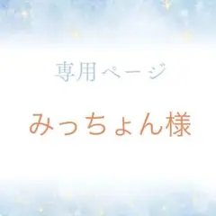 専用ページ