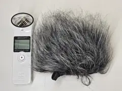 Item thumbnail for item 847cd9fb-fc5b-4489-9a19-cdac3f81e90b