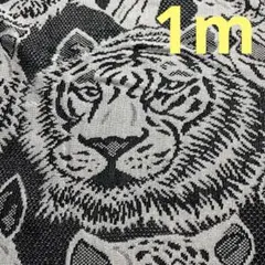 虎　アニマル柄　メッシュ　ジャージ　生地