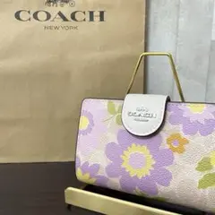 Item thumbnail for item 785bb166-c2f9-437b-9437-c3ffc1589fc6