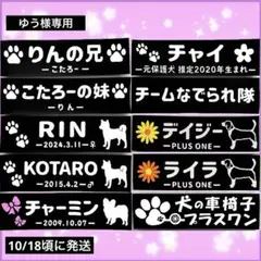Item thumbnail for item 87f90dc8-38de-4c73-9d5e-b98e64fc4efa