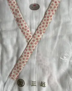 Item thumbnail for item 701cf3c2-2aff-4ae2-99e3-659968ecc35c