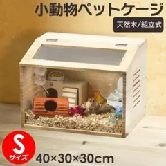 Item thumbnail for item 7f25f4ea-20a0-4be8-87eb-adc8e5b05a02