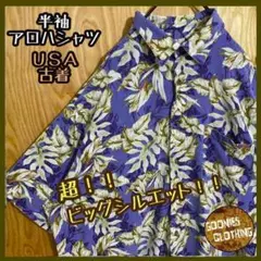 Item thumbnail for item 70a58c79-2c21-4b63-a8da-60f503bc81c9