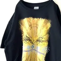 ギルダン VISION eye Tシャツ L ブラック 黒 古着
