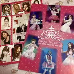 T-ARA FANCLUB 会報