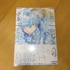 極彩の家13