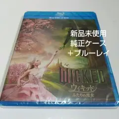 Item thumbnail for item 821b9cb2-8440-4ad1-9bbb-4715c6f4e0c2