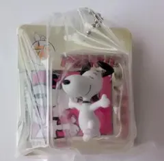 PEANUTS パッケージミニチュアコレクション 1960S