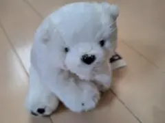 旭山動物園　しろくま　ぬいぐるみ