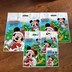 ディズニーリゾート お土産袋 N