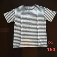 GAP　Tシャツ　XXL　160