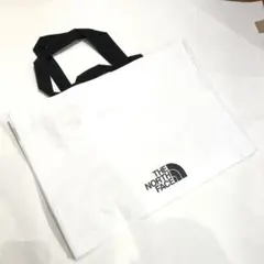 Item thumbnail for item a6a96562-1517-4585-9f62-72c5eaa3c447