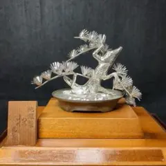 美品 光則 純銀製 大淵武則 盆栽 松 19cm 箱入り 美品 光則 純銀製 大淵武則 盆栽 松 19cm 箱入り
