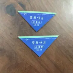 菅原咲月　少年マガジン　応募券2枚