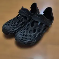 Item thumbnail for item bb845f3e-d4c8-4224-9a47-01dfd7f377ce