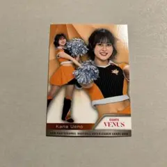 Item thumbnail for item 3fa8f300-e416-4782-9def-00431078a360