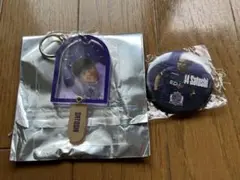サンフレッチェ広島 アイス型キーホルダー ガチャセット 田中聡