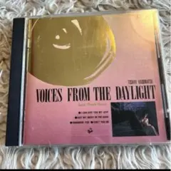 City Pop 角松敏生　Voices From The Daylight