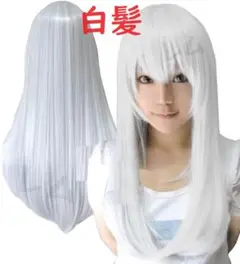 Item thumbnail for item aa07978a-bc0f-4296-8fb4-c2d8ee87c2e8